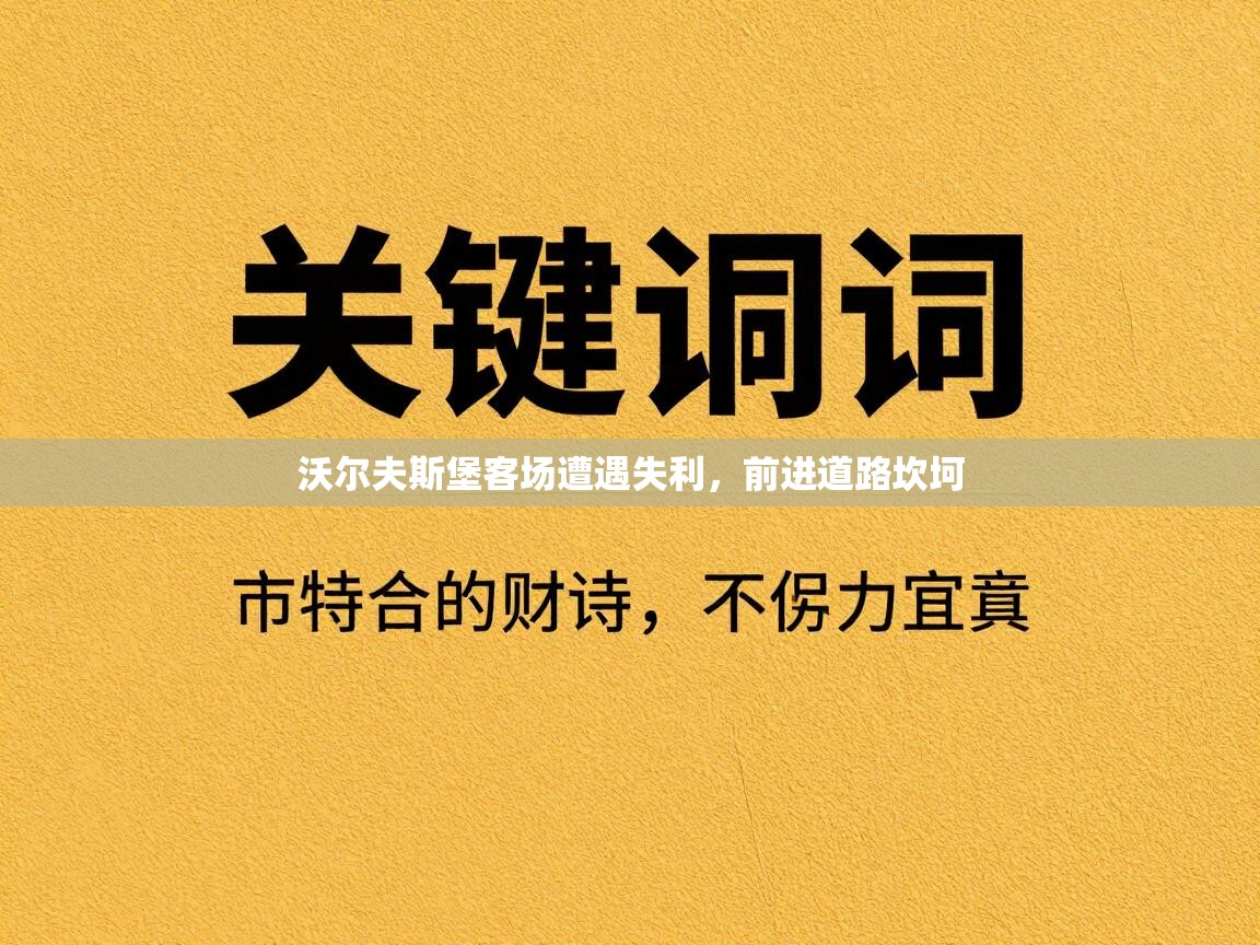沃尔夫斯堡客场遭遇失利,前进道路坎坷 第1张
