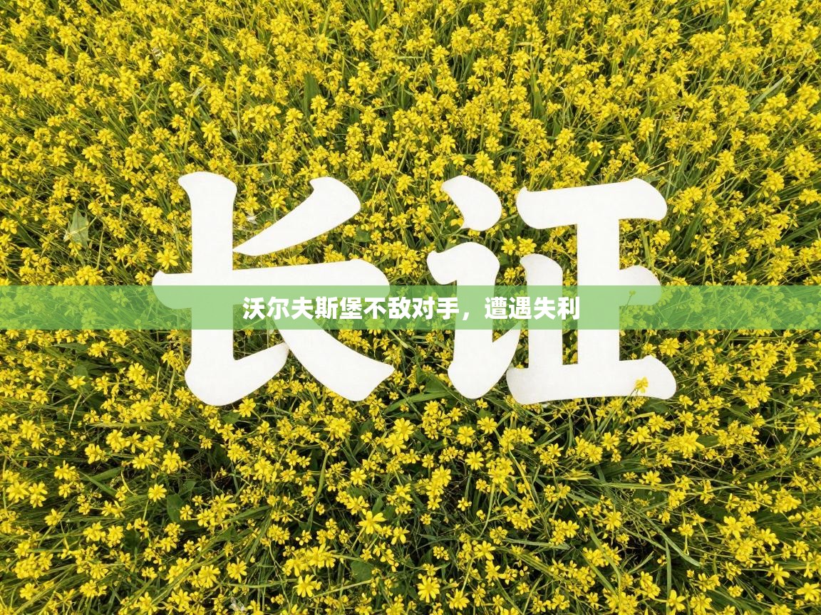 沃尔夫斯堡不敌对手，遭遇失利  第1张