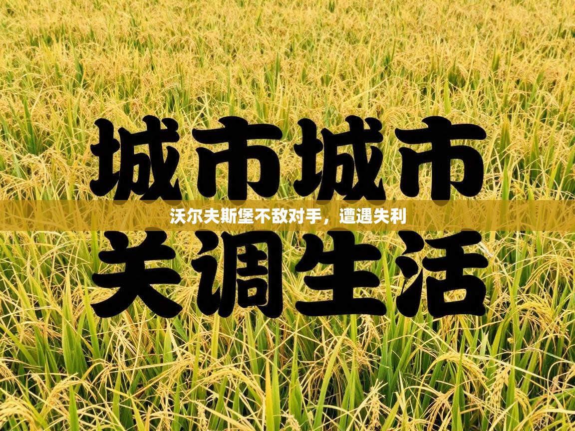 沃尔夫斯堡不敌对手，遭遇失利  第2张