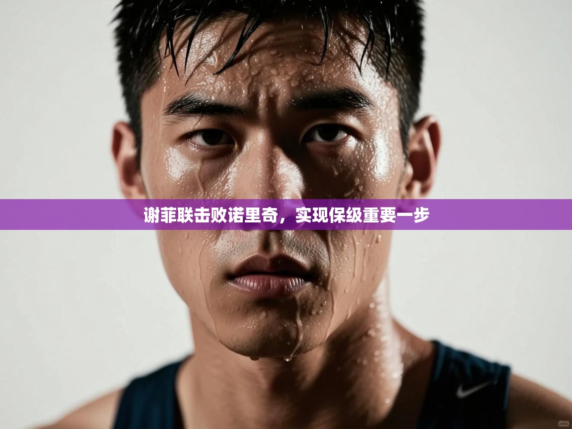 谢菲联击败诺里奇,实现保级重要一步 第1张