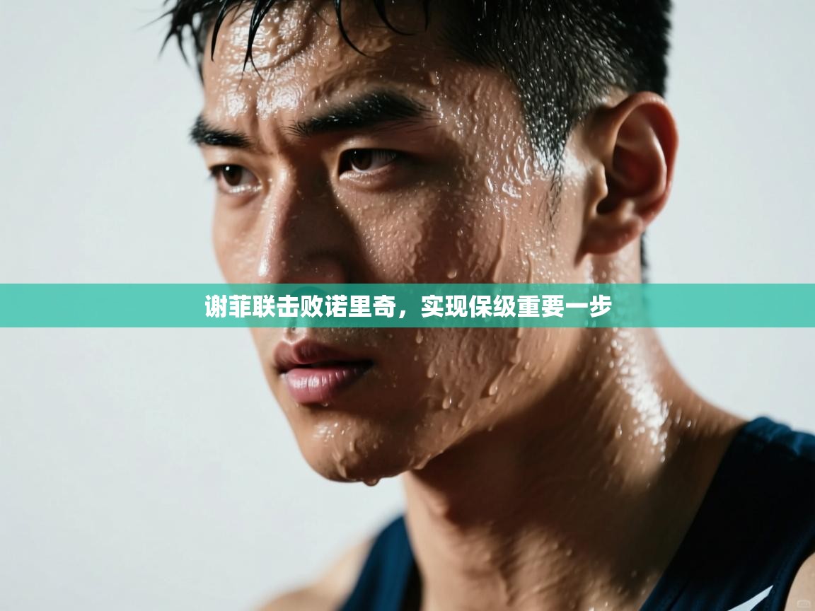 谢菲联击败诺里奇,实现保级重要一步 第2张