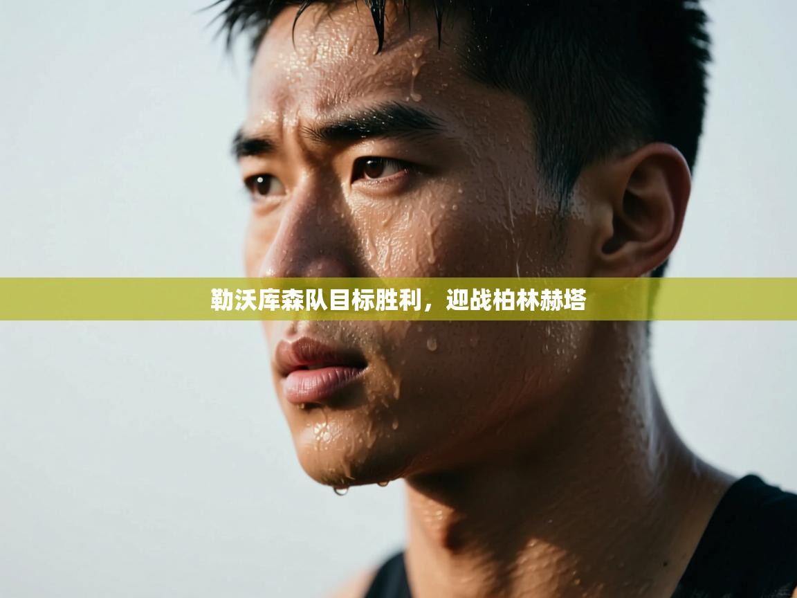 勒沃库森队目标胜利，迎战柏林赫塔  第2张