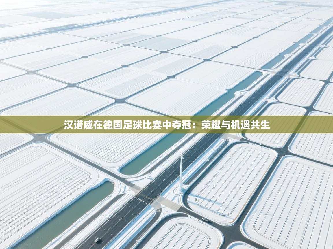 汉诺威在德国足球比赛中夺冠:荣耀与机遇共生 第1张