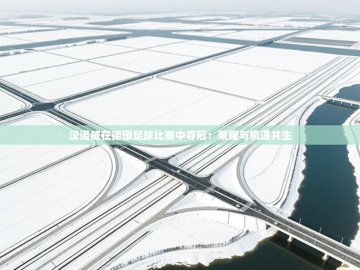 汉诺威在德国足球比赛中夺冠:荣耀与机遇共生 第2张