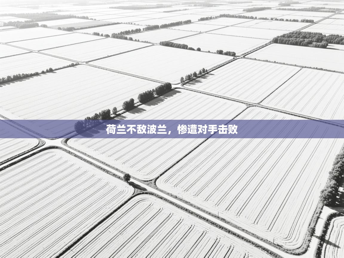 荷兰不敌波兰，惨遭对手击败  第1张