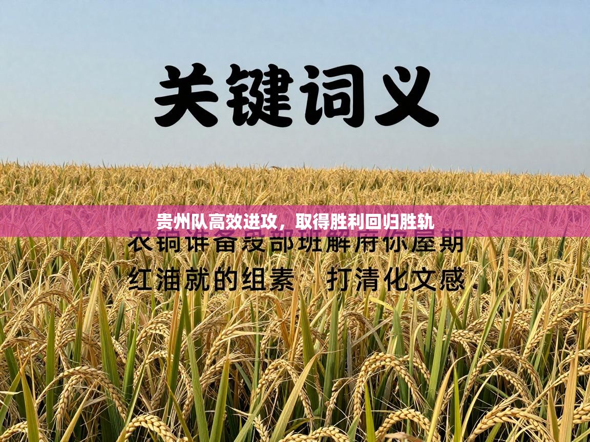 贵州队高效进攻,取得胜利回归胜轨 第1张